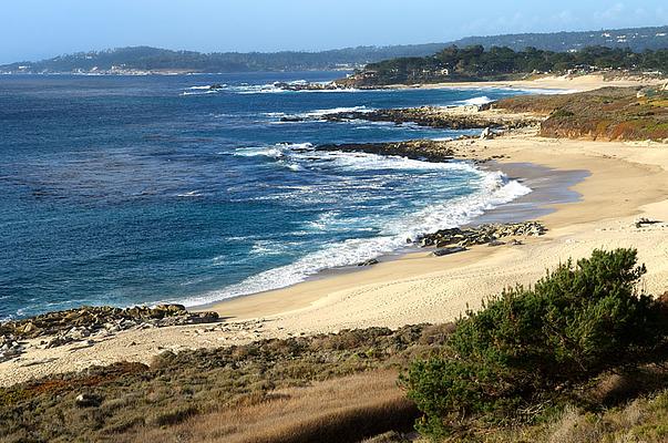 Carmel River State Beach