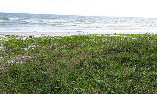 Ochheuteal Beach