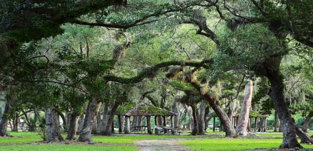 Matheson Hammock Park