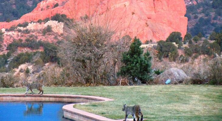 Garden of the Gods Resort and Club