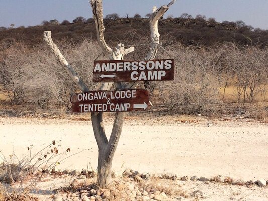 Ongava Lodge