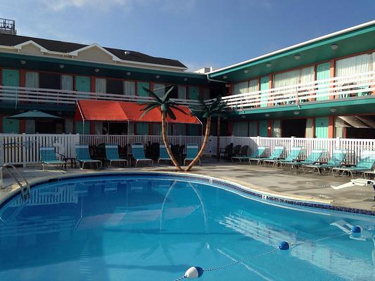 Dolphin Inn