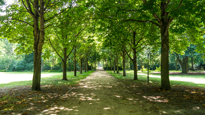 Tiergarten