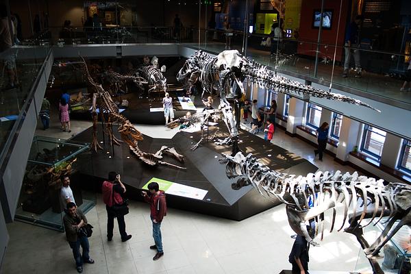 Natural History Museum of Los Angeles County