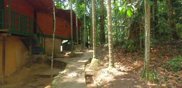 Rafters Retreat