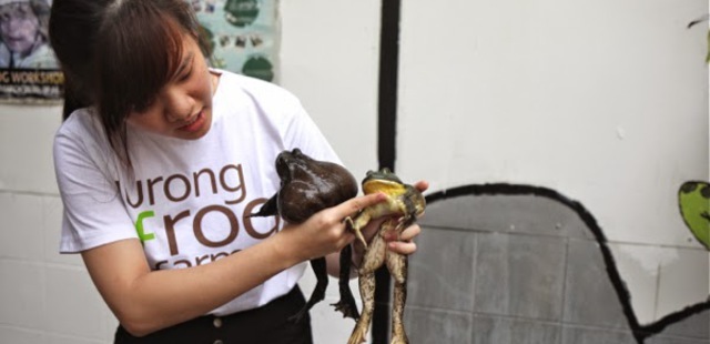 Jurong Frog Farm