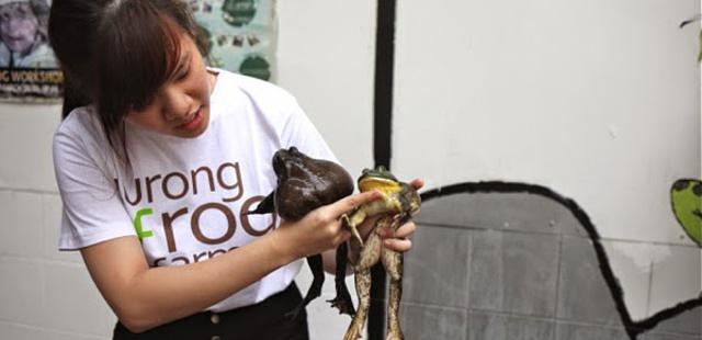 Jurong Frog Farm