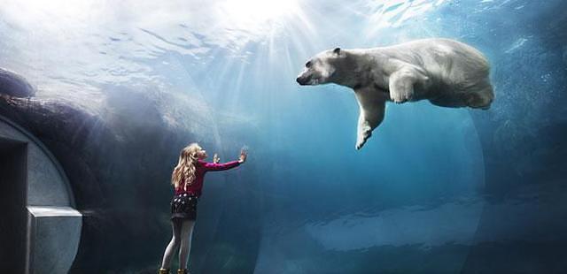 Copenhagen ZOO