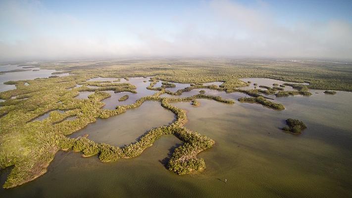 Rookery Bay National Estuarine Research Reserve