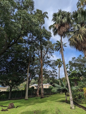 Botanical Gardens