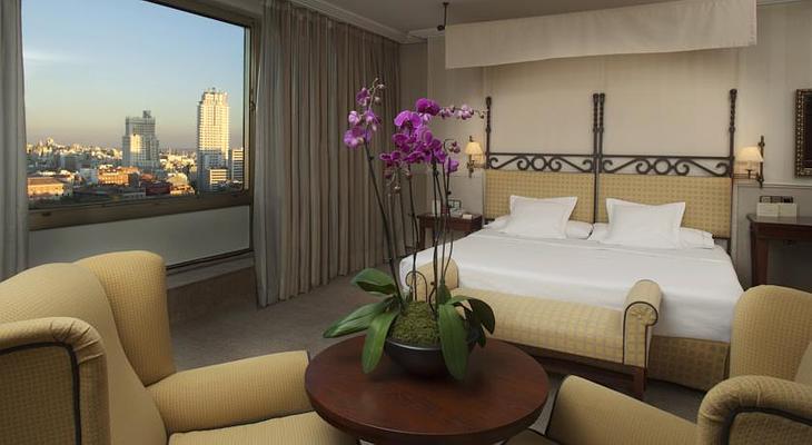 Hotel Princesa Plaza Madrid