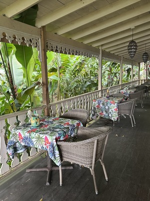 The Pink Plantation House