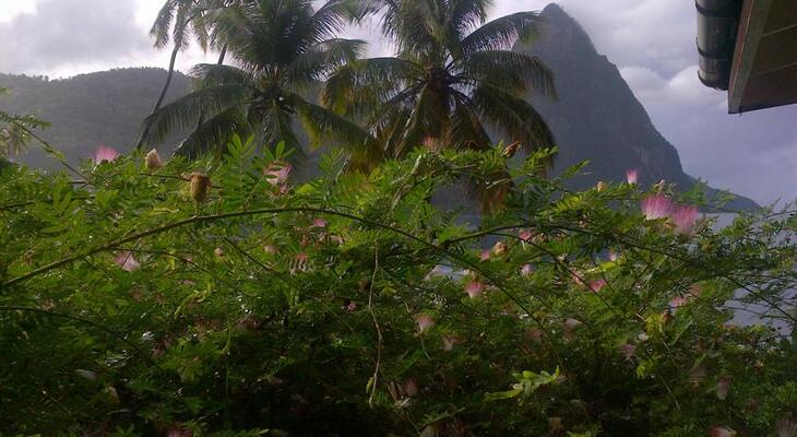 Hummingbird Beach Resort