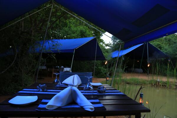 Mahoora Tented Safari Camp Yala