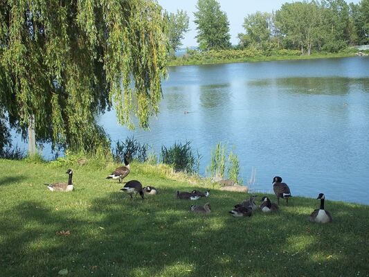 Parc des Rapides