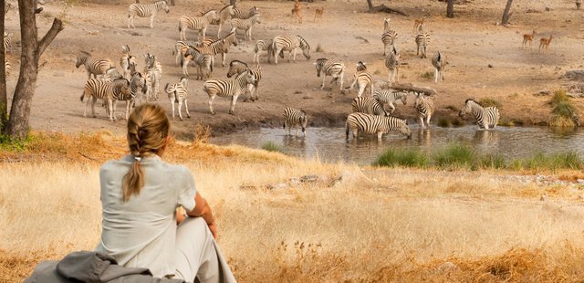 Onguma Tented Camp