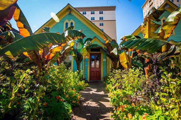 Cuba Cuba cafe & bar