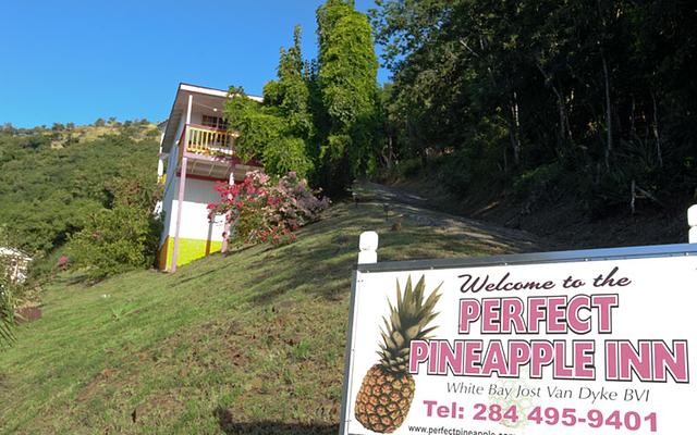 Perfect Pineapple Guest Houses