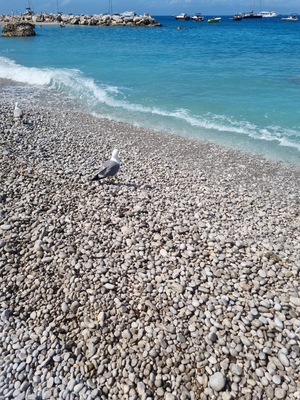 Marina Grande Beach