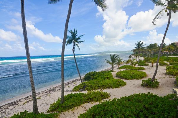 The Palms at Pelican Cove