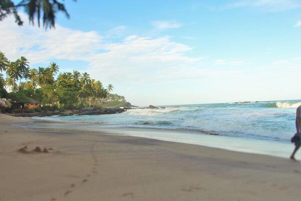 Palm Paradise Cabanas & Villas Beach Resort Tangalle