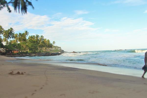 Palm Paradise Cabanas & Villas Beach Resort Tangalle