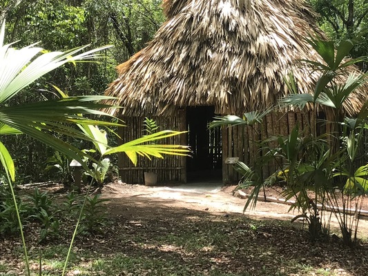 Belize Botanic Gardens