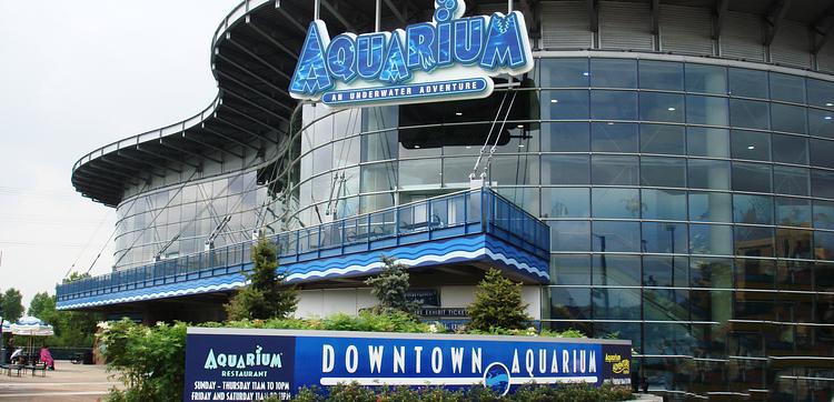 Downtown Aquarium