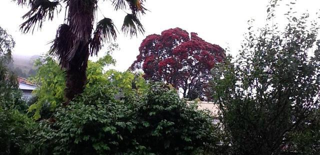 Eden Villa Bed & Breakfast