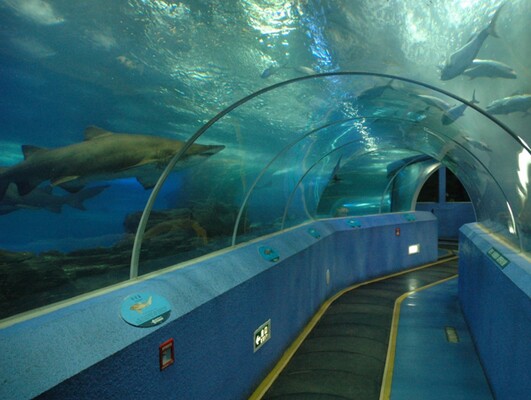 Qingdao Underwater World