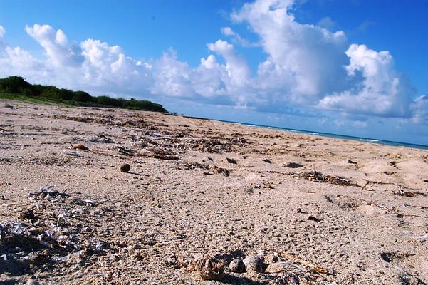 Sandy Point National Wildlife Refuge