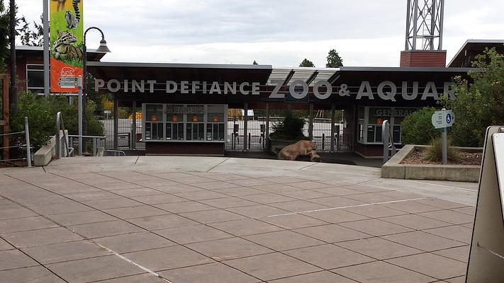 Point Defiance Zoo & Aquarium