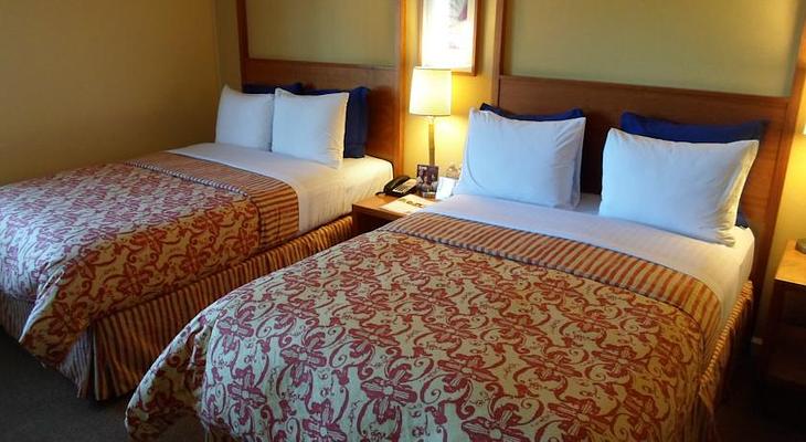 Wild Palms Hotel, A Jdv By Hyatt Hotel
