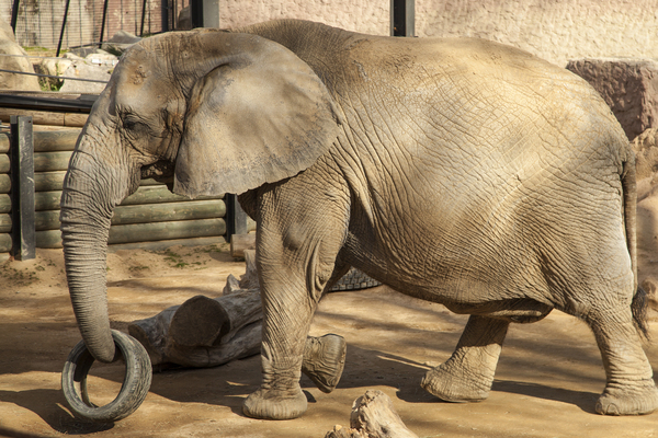 Barcelona Zoo