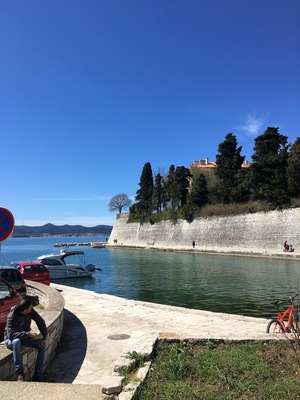 Foša