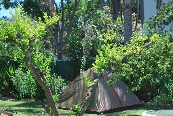 Stumble Inn Backpackers Lodge Stellenbosch