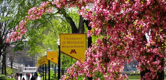 University of Minnesota