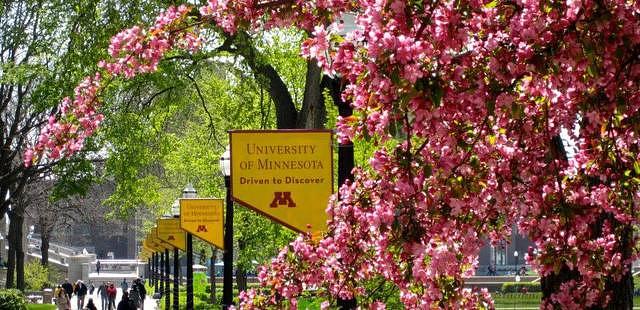 University of Minnesota