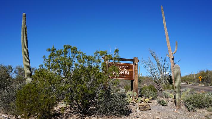 Arizona-Sonora Desert Museum