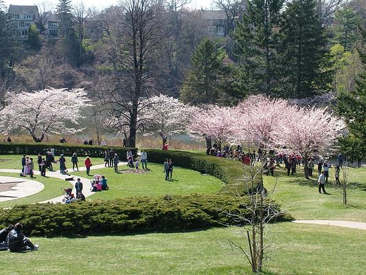 High Park