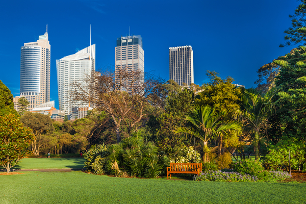 Royal Botanic Garden Sydney