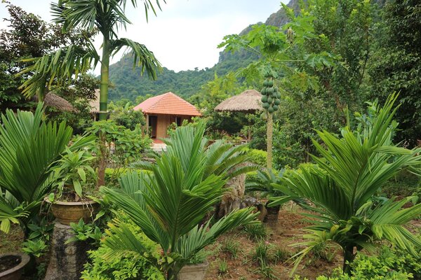 Lan Homestay