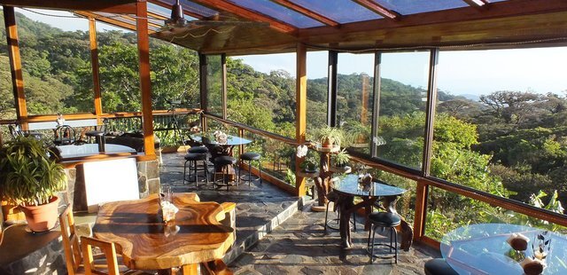 Hidden Canopy Treehouses Boutique Hotel