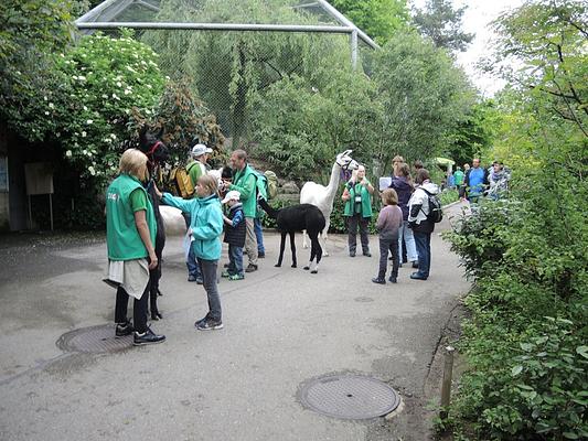 Zoo Zurich