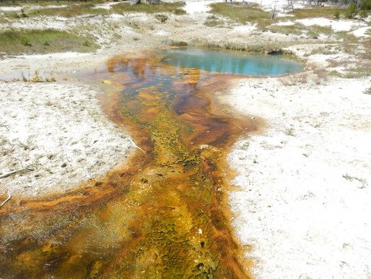 West Thumb Geyser Basin