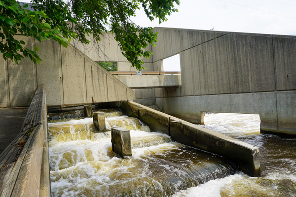 Fish Ladder