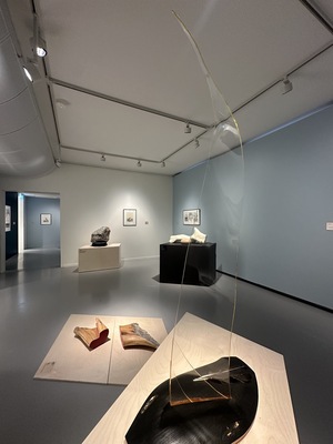 Nordnorsk Kunstmuseum