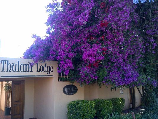 Thulani Lodge