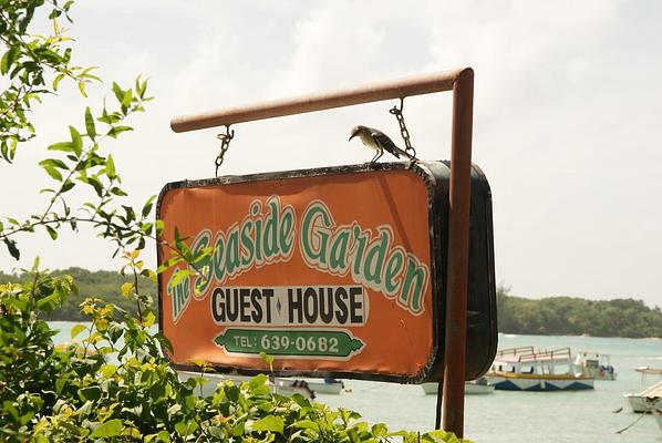 The Seaside Garden Guesthouse