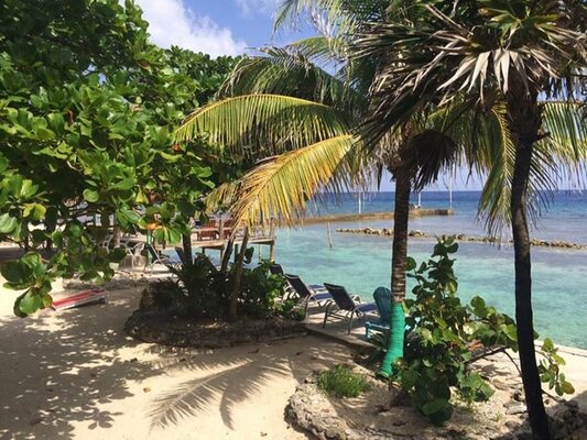Reef House Resort